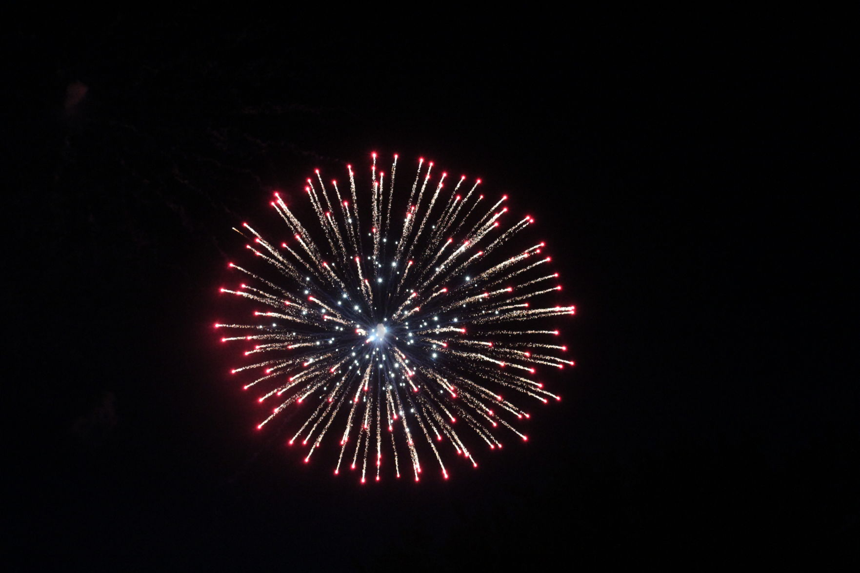 IMG_9811.JPG